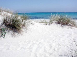  Découverte de nouvelles plages 